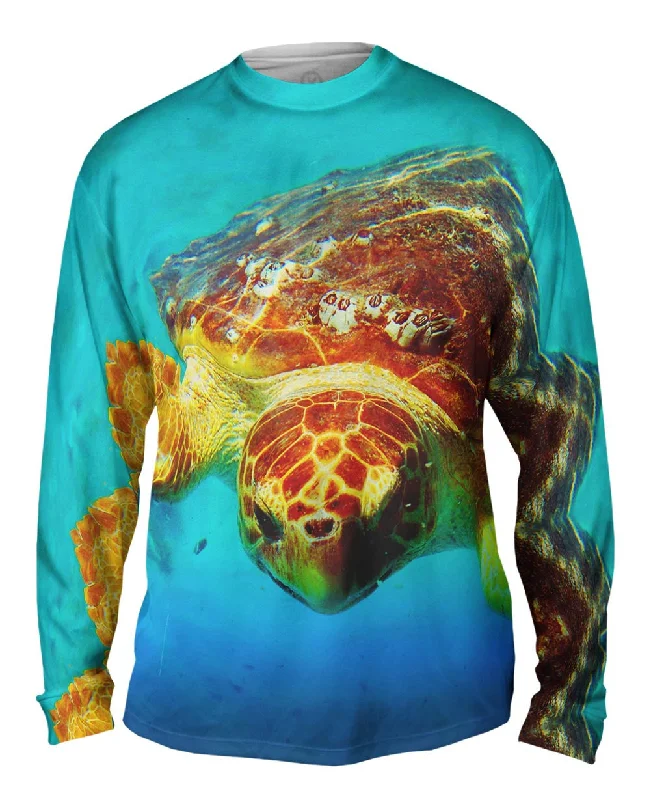 Deep Sea Turtle